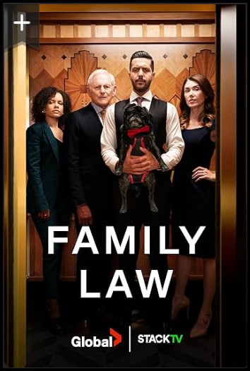 (image for) Family Law - Seasons 1-2 and 4